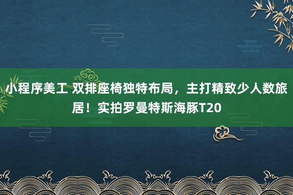 小程序美工 双排座椅独特布局，主打精致少人数旅居！实拍罗曼特斯海豚T20