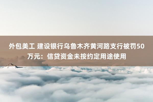 外包美工 建设银行乌鲁木齐黄河路支行被罚50万元：信贷资金未按约定用途使用