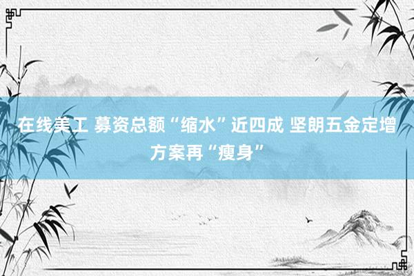 在线美工 募资总额“缩水”近四成 坚朗五金定增方案再“瘦身”